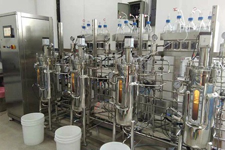 機械攪拌發(fā)酵罐