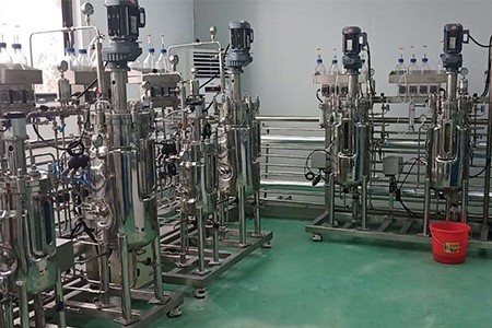 機械攪拌發(fā)酵罐